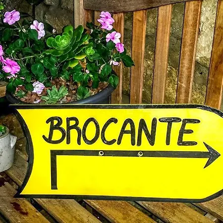 Gite Des Papillons & Brocante *
